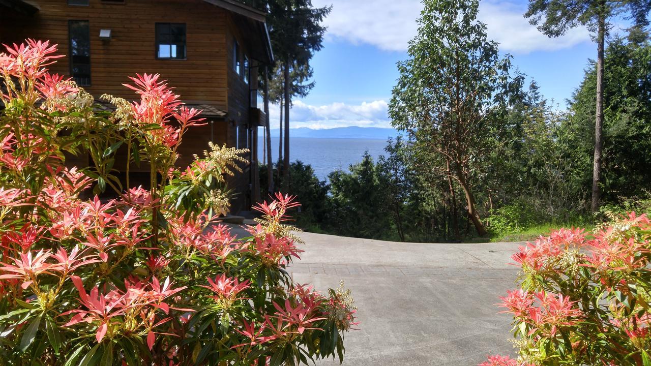 Sunshine Coast Treetop B&B Sechelt Exterior foto