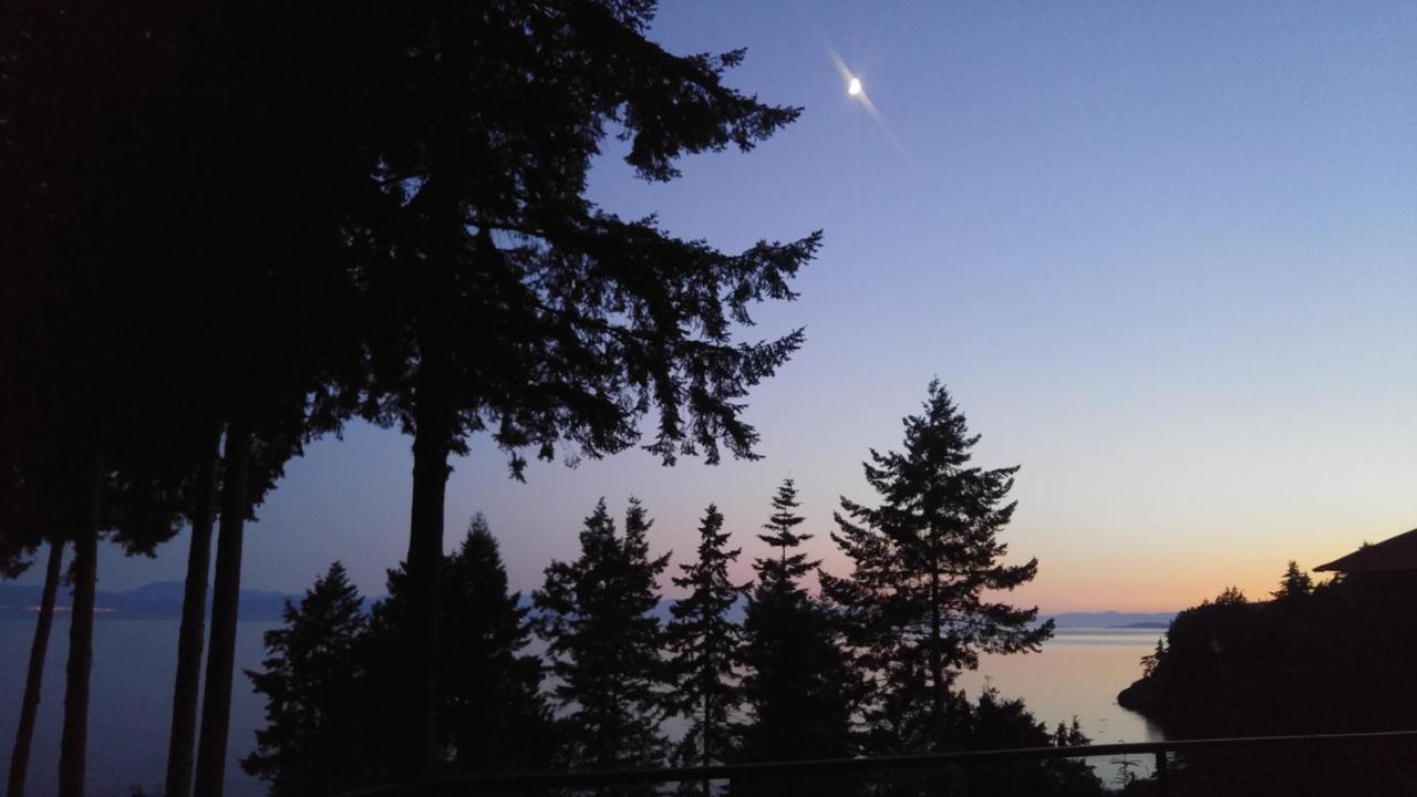 Sunshine Coast Treetop B&B Sechelt Exterior foto